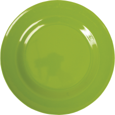 Apple Green Melamine Dinner Plate by Rice DK